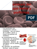 Biosintesis Del Grupo Hemo y Porfirinas