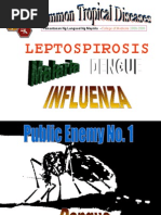 Download Dengue Leptospirosis Malaria Influenze by sarguss14 SN11516107 doc pdf