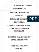 Digestibility in Ruminants: Four-Part Stomach