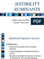 Digestibility in Rumiants