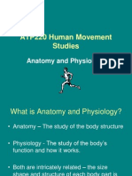 Anatomy and Physiology 1