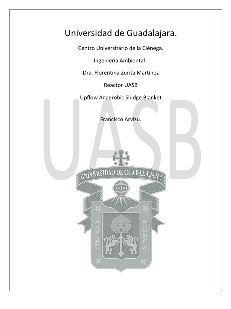UASB reactor.