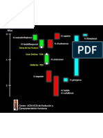 Diagrama