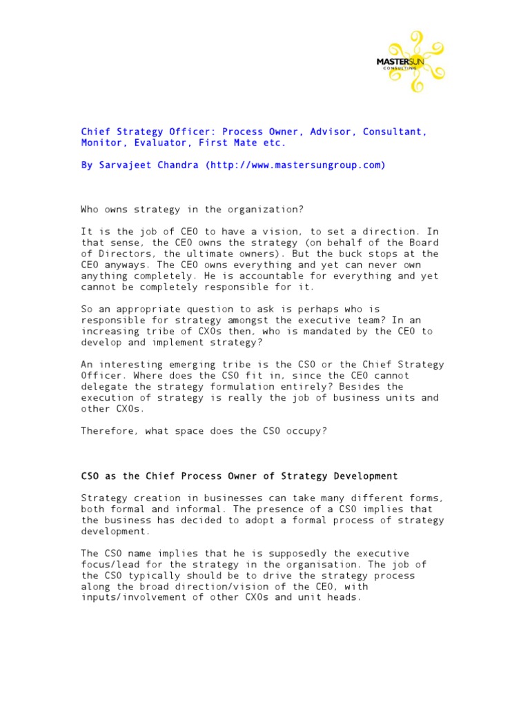 Role and Responsibilities of a CSO | PDF | Chief Executive Officer ...