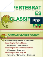 Animals Classif2