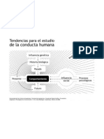 Tendencias Psicologicas