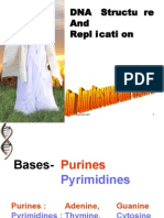 02 DNA Structure and Replication