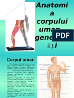 Anatomia Corpului Unan