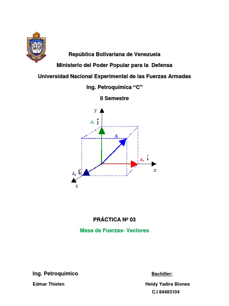 Que Es Un Vector | PDF