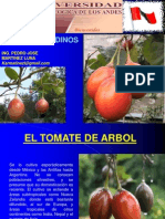 Cultivos Andinos Clase 16 Tomate Del Arbol