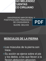 Musculo de La Pierna[1]