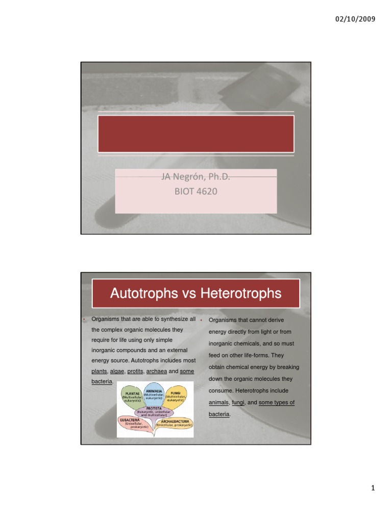 Tissue Culture Yeast PDF Growth Medium