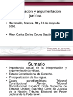 De Los Cobos Sepulveda Carlos-Interpretación y Argumentación Juridica