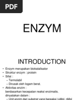 Makalah morfologi dan anatomi pada tumbuhan angiospermae