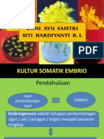 PPT