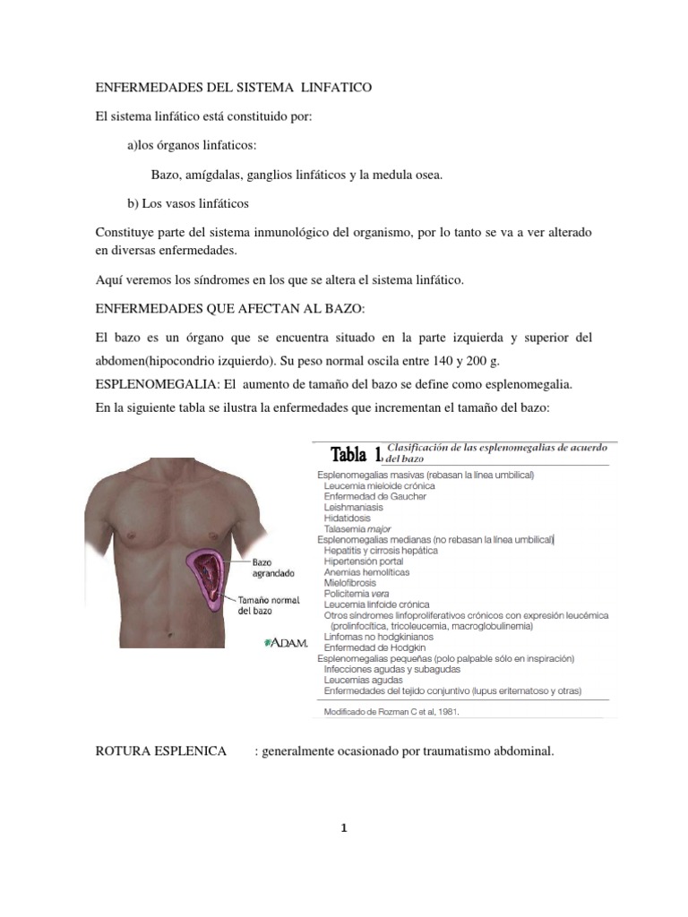Enfermedades Del Sistema Linfatico 2 Enfermedades y