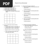 Dihybrid Cross Practice