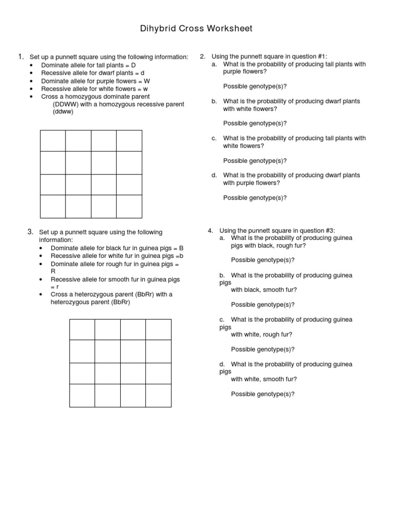 Worksheets Dihybrid Cross Worksheet Answers dihybrid cross practice zygosity genotype