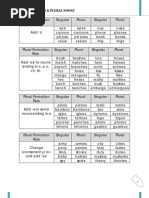 Singular & Plural Nouns - Notes