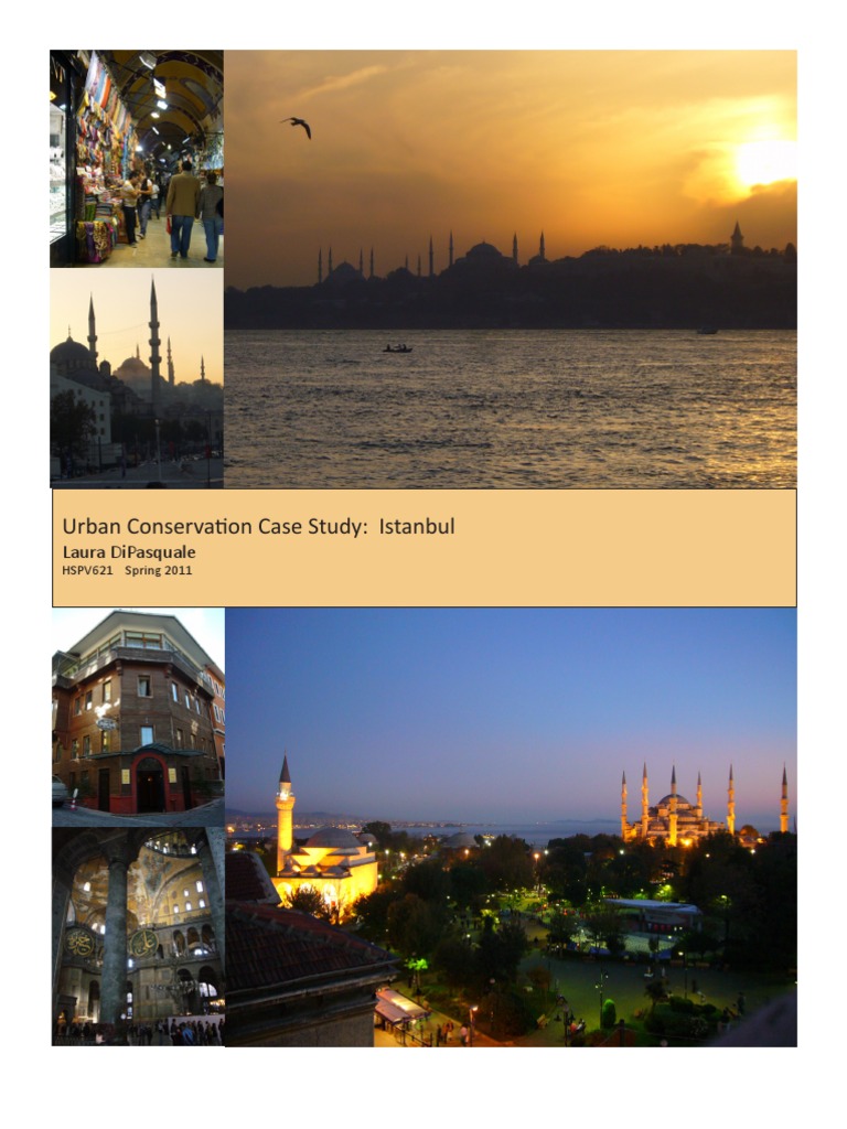 Istanbul Urban Conservation Challenges | PDF | Istanbul | Turkey