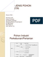 Jenis-Jenis Pohon Industri