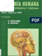 Anatomia Cuello y Cabeza, Globo ocular Pag 314