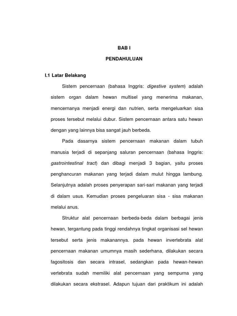 Laporan Sistem Pencernaan Denny