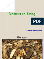 Biomass Co-Firing: A Partner in Clean Energy