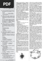 Aprovar_ano05_livro29_012