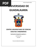 Proceso del jabón liquido