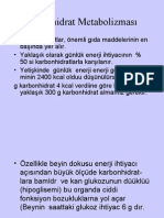 Karbohidrat Metabolizmas Aks (Prof. Dr. Sabahattin Muhtaroğlu)