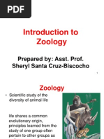 Introduction To Zoology