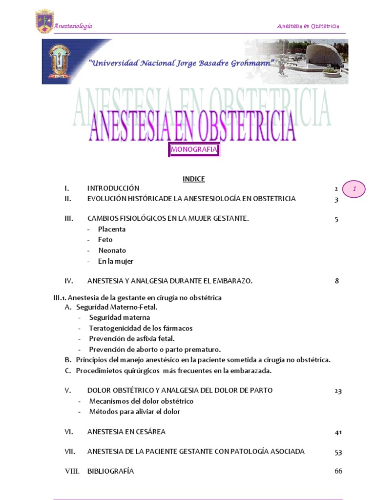 Monografia Anestesia Obstetrica Trabajo Final