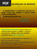Como Se Reproduzem Os Animais