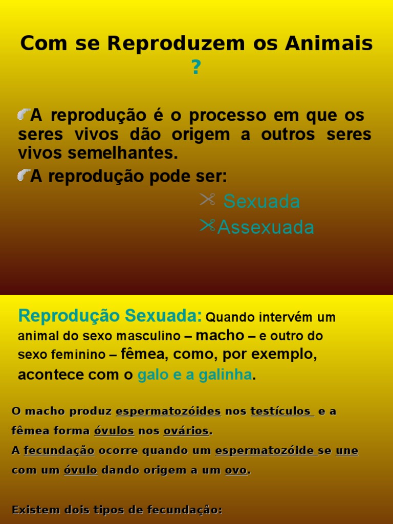 Como Se Reproduzem Os Animais