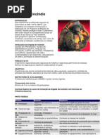 Brigada de incêndio