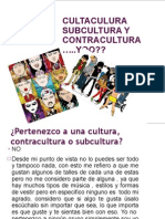 Cultaculura Subcultura y Contracultura