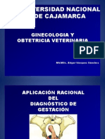 Diagnostico de Gestacion en Bovinos