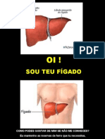 Figado