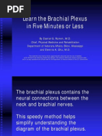 Download Brachial Plex How To by genevieve445 SN11573558 doc pdf