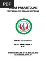 Download Makalah Parasitologi Rhizopoda by Adhy Suparsa SN115741289 doc pdf