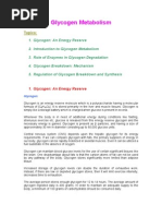 Download Glycogen Metabolism by Examvillecom SN11578090 doc pdf