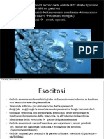 (s6ita - bi4ita) Presentazione - Juliette MONTAIGU - Endocitosi
