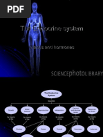 Download Endocrine System by cmillica1176 SN115792343 doc pdf