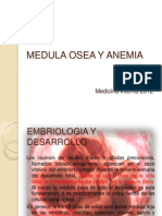 MEDULA OSEA Y ANEMIA.pptx