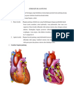 Struktur Jantung