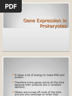 Gene Expression in Prokaryotes