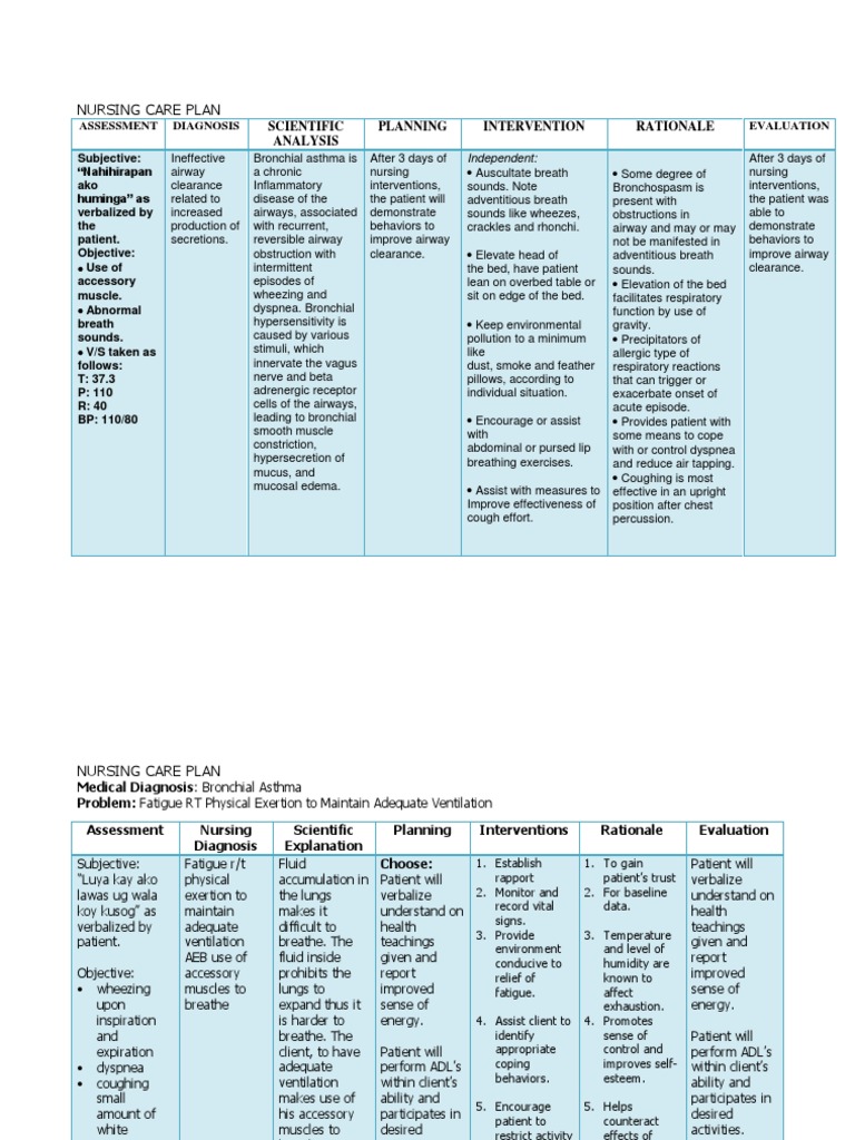 Ncp Asthma Respiratory Tract
