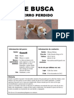 Perro perdido en Armilla -Granada-