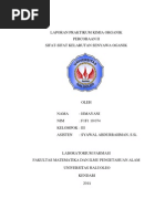 Download Sifat-sifat Kelarutan Senyawa Organik Ismayanii by Ismayani Arifin SN115900873 doc pdf